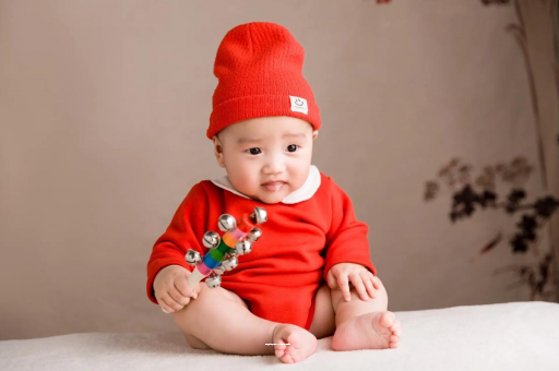 成都试管代怀合肥助孕公司大揭秘：2024避坑指南，防骗必看